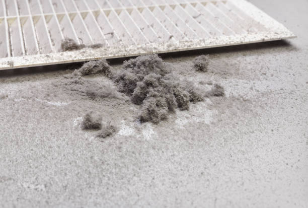 Best Affordable Air Duct Cleaning  in Golden Beach, MD