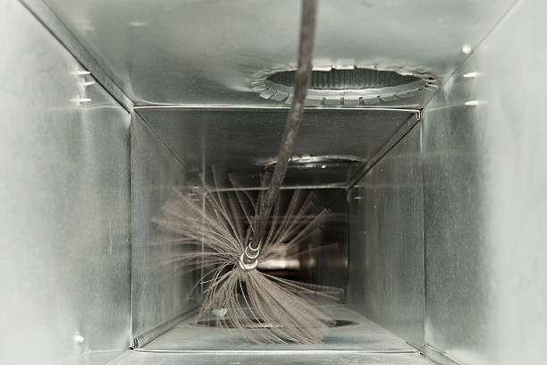 Best Air Duct Mold Removal  in Golden Beach, MD